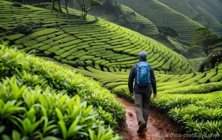겨울 남성용 방수화 - **Urban Comfort in Monsoon Rain:**
"A person, in their late 20s, with a relaxed and confident ex... 겨울 남성용 방수화 - **Urban Comfort in Monsoon Rain:**
"A person, in their late 20s, with a relaxed and confident ex...